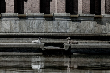 zwei hunde, ein weimaraner und ein dalmatiner, liegen auf einer mauer wie sphinx statuen