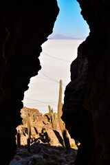 isla incahuasi no salar de uyuni