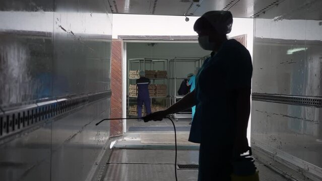 Poultry plant worker spraying the disinfection liquid onto the walls. Female worker using spray tool for transportation truck disinfection. Disinfecting worker spraying the chemicals