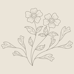 Hand Draw Floral Decoration Element
