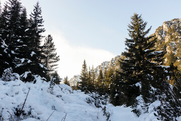 Winter landscape of Rila Mountain near Malyovitsa peak, Bulgaria