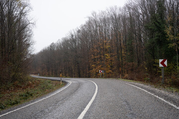 Fototapeta premium road in the autumn