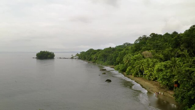 Pacific Coast With Rainforest