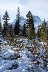 Winter landscape of Rila Mountain near Malyovitsa peak, Bulgaria