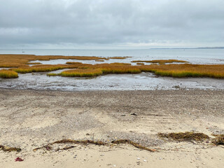 Rive d'une plage à marée basse. Sable, herbes hautes et algues au abord d'un fleuve. Baie avec un ciel nuageux au loin.