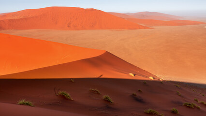 Fototapeta na wymiar Desert landscape, view of the dunes of Sossusvlei, Namibia
