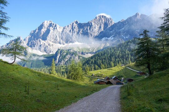 Wonderful idyllic austrian nature scenery: Green hills and forrest and steep snowy mountains. Dachstein mountain. highest peak in styria and upper austria