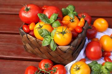 Different sorts of tomatoes with basil on wooden table