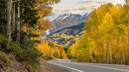 Golden Autumn Aspen trees on the Million Dollar Highway in the Rocky Mountains - Colorado 