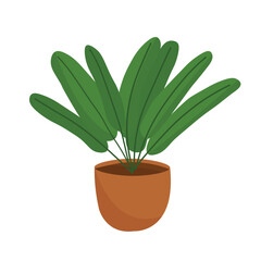 Green house plant in a pot illustration with long leaves. Decorative flower illustration.