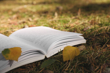 Open book and leaves on grass outdoors, closeup
