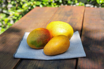Many tasty mango fruits on wooden table outdoors