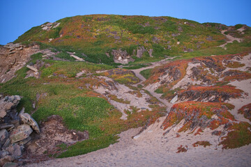 Picturesque Hill on the coast of the ocean in the city of Monterey