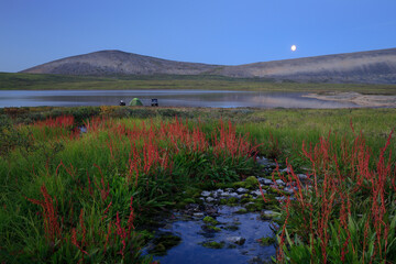 Beautiful summer night arctic landscape. Tundra and the lake in the mountain valley. In the...
