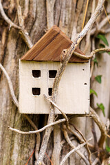 Wooden cracked damaged house model tangled in dead dry stems