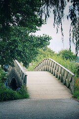 Fototapeta premium bridge in the park in Sweden