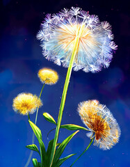Dandelion drawing on blue sky, beautiful illustration of nature, floral element, floral background, illustration, digital