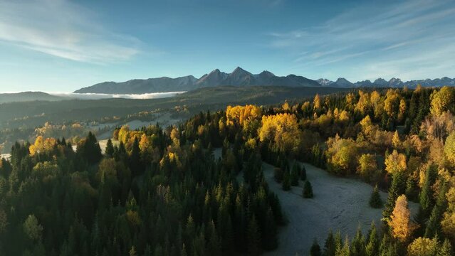 Beautiful autumn landscape in the Tatra mountains - aerial footage