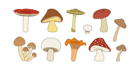 Mushroom vector icon, cartoon forest mushrooms set isolated on white background. Organic nature illustration