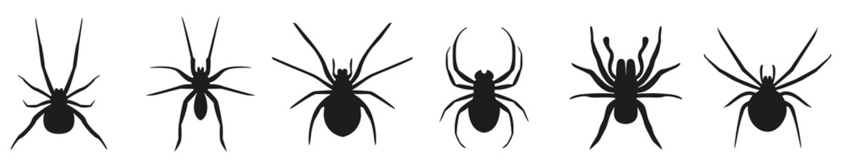 Spider black vector silhouette collection. Different spiders isolated on white