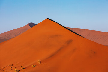 Fototapeta na wymiar Desert landscape, view of the dunes of Sossusvlei, Namibia