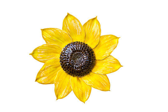 
Beautiful ceramic sunflower replica. Released for picture montages.