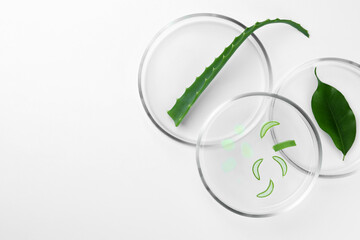 Petri dishes with different plants on white background, top view. Space for text