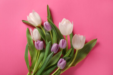 Many beautiful tulips on pink background, flat lay