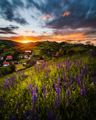 Hilltop Landscape sunset nature summer Croatia