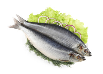 Plate with salted herrings, dill, onion rings and lettuce isolated on white, top view