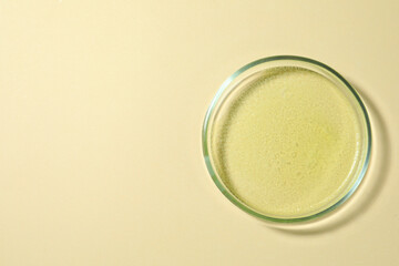 Petri dish with color liquid on beige background, top view. Space for text