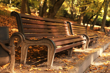 Wooden benches and fallen leaves in beautiful park on autumn day. Space for text