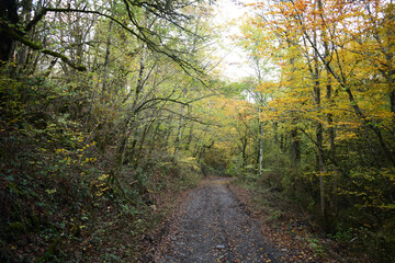 Otoño