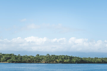 View of a jungle with a tropical house in the distance. Island in Caribbean with tropical flora