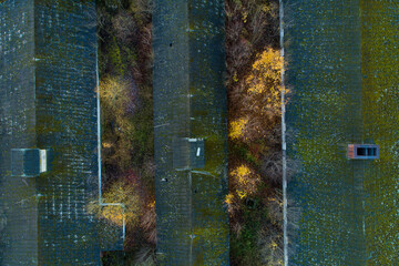 An aerial of nature slowly taking over abandoned Soviet-era farm complex in Estonia, Northern Europe