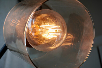 closeup of edison bulb light filaments