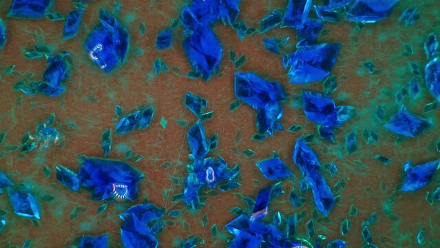 Growth of crystals from a solution of copper sulphate timelapse