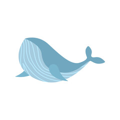 Whale kid vector illustration isolated on transparent png