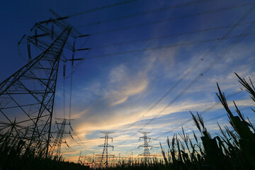 High voltage power grid, in the sunset