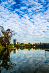 Fototapeta premium beautiful cityscape with sky full of little clouds, city in the background surrounded by forest, in chapultepec park, lake in mexico city 