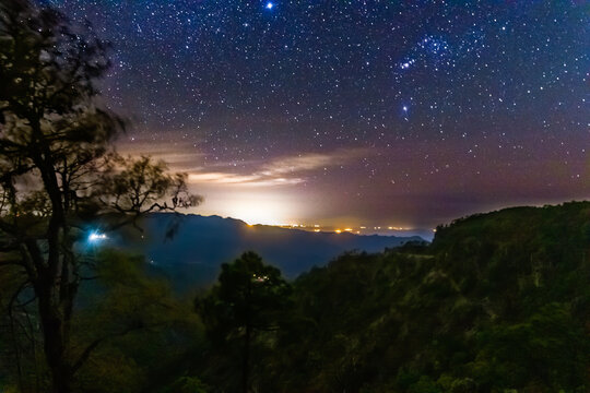 forest at night with bright lights in the background, and  sky full of stars, view of mazatlan from mountains in mexiquillo durango