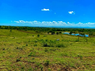 Beautiful hills with great green grass blue sky and bright vivid nature