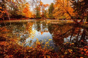 Lake with tourists covered with colorful leaves during autumn foliage