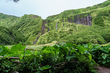 Ribeira do Ferreira, Flores, Azores