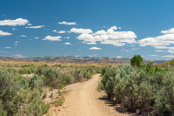 Fototapeta na wymiar Dirt road flanked by sage heads toward distant purple desert mountains on the horizon.
