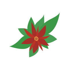 Christmas red flower with green leaves. Decor for Christmas and New Year. Festive vector illustration in flat cartoon style.