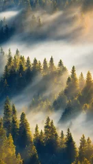 Fotobehang Misty forest © David Cabrera