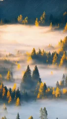 Papier Peint photo autocollant Forêt dans le brouillard Misty forest