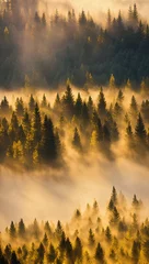 Papier Peint photo Lavable Forêt dans le brouillard Misty forest