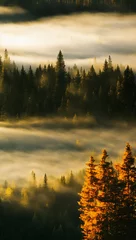 Tuinposter Mistig bos Misty forest